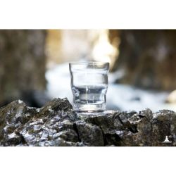 Bicchiere Jasmina con albero della vita Laserato 0.3 L - Nature's Design