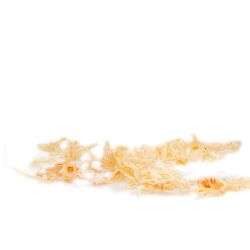 Ricarica Trucioli di Pino Cembro per diffusori 250 gr - Nature's Design
