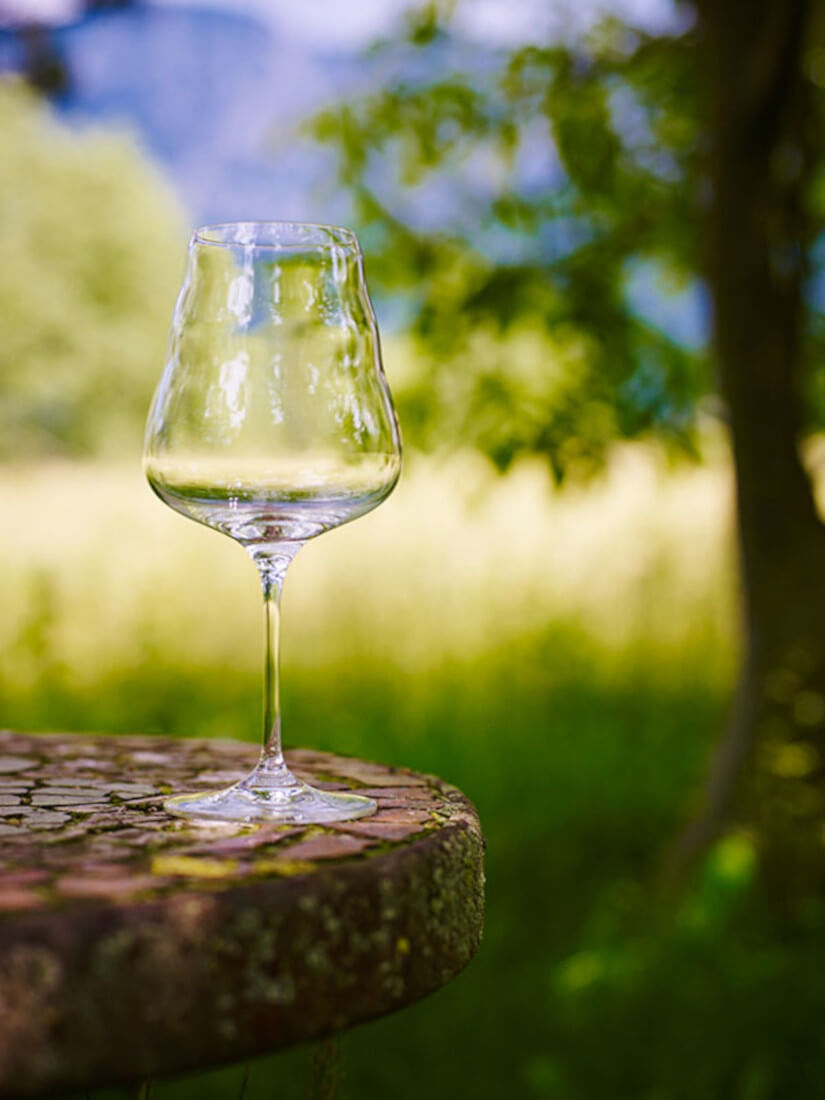 Calice per vino bianco CALIX 0.4 L - Nature's Design