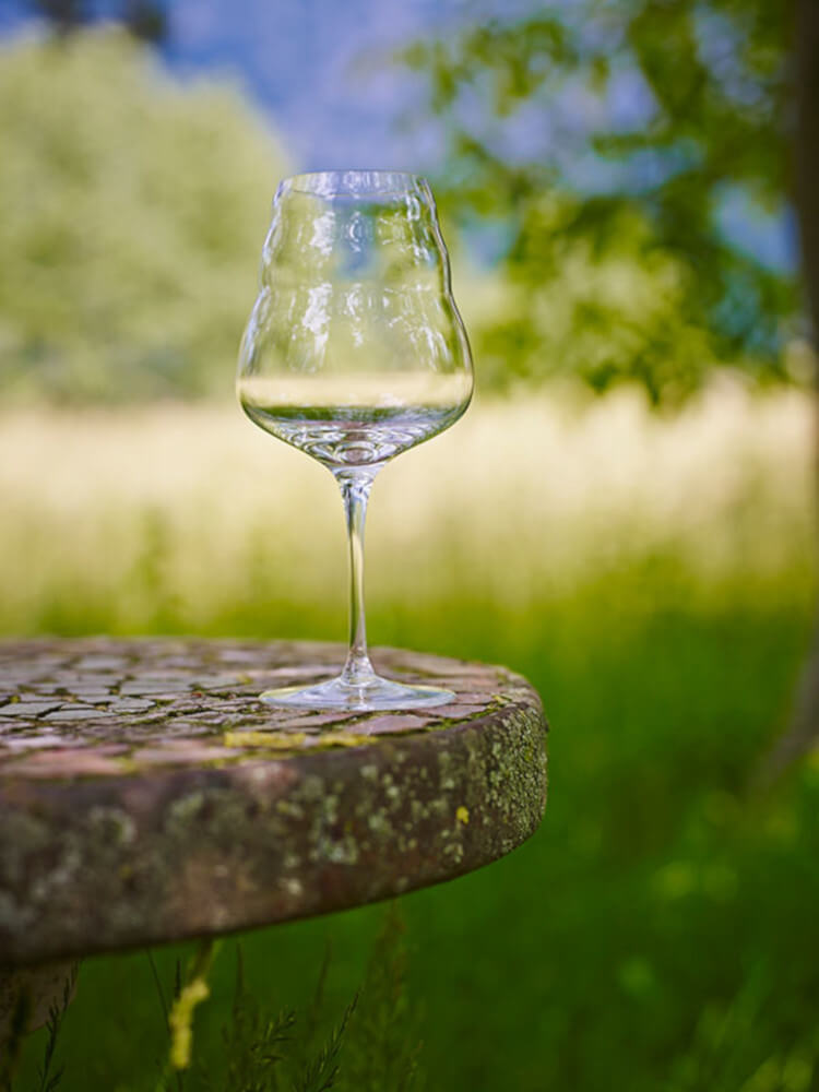 Calice per vino bianco CALIX 0.4 L - Nature's Design