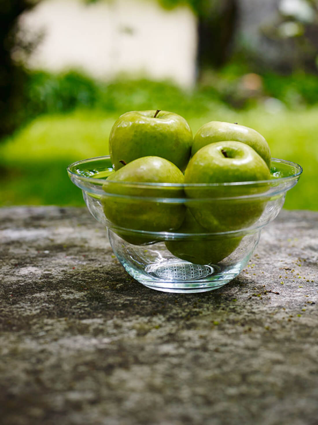 Ciotola Cotula grande 23 cm - Nature's Design