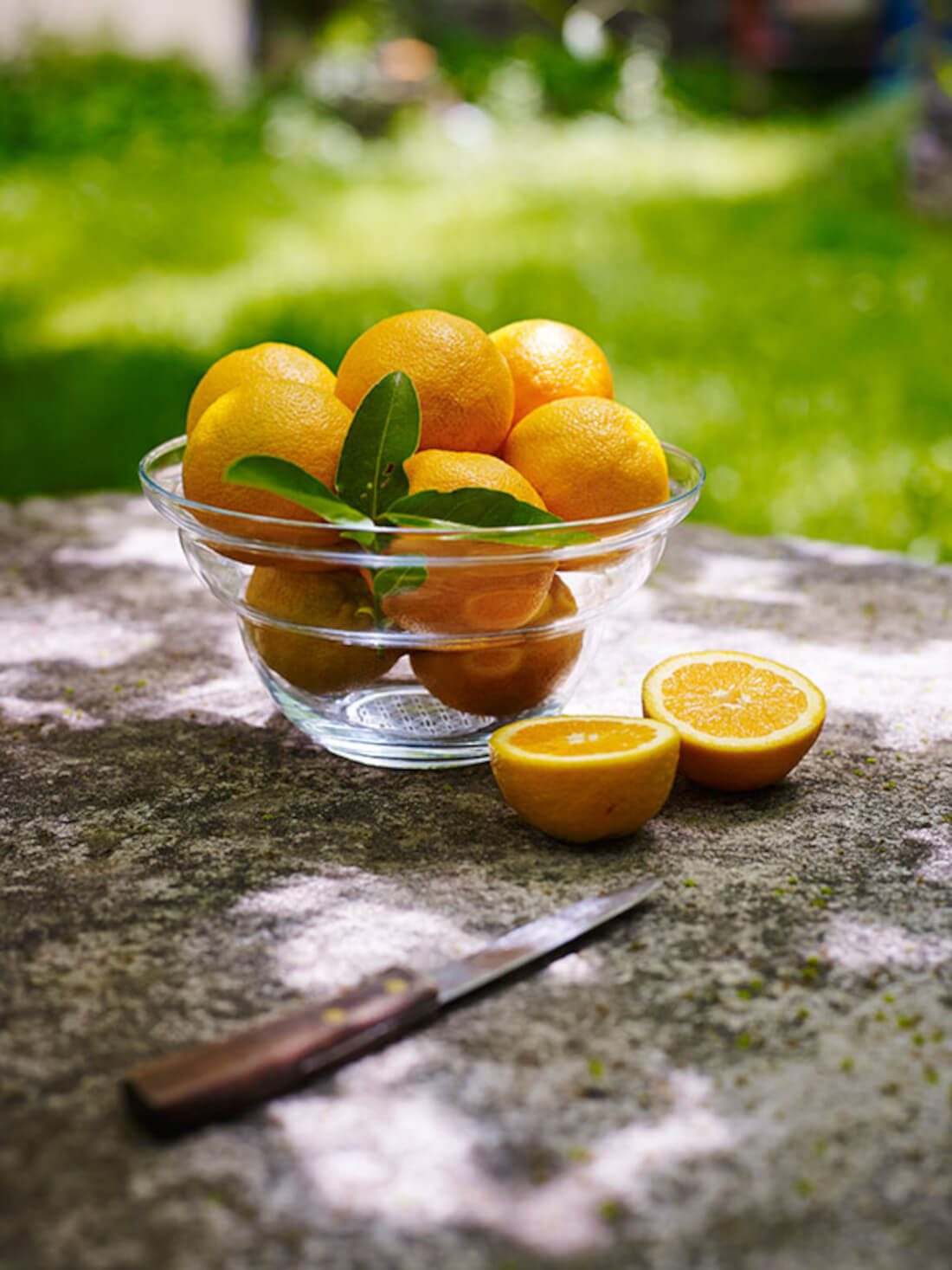 Ciotola Cotula grande 23 cm - Nature's Design