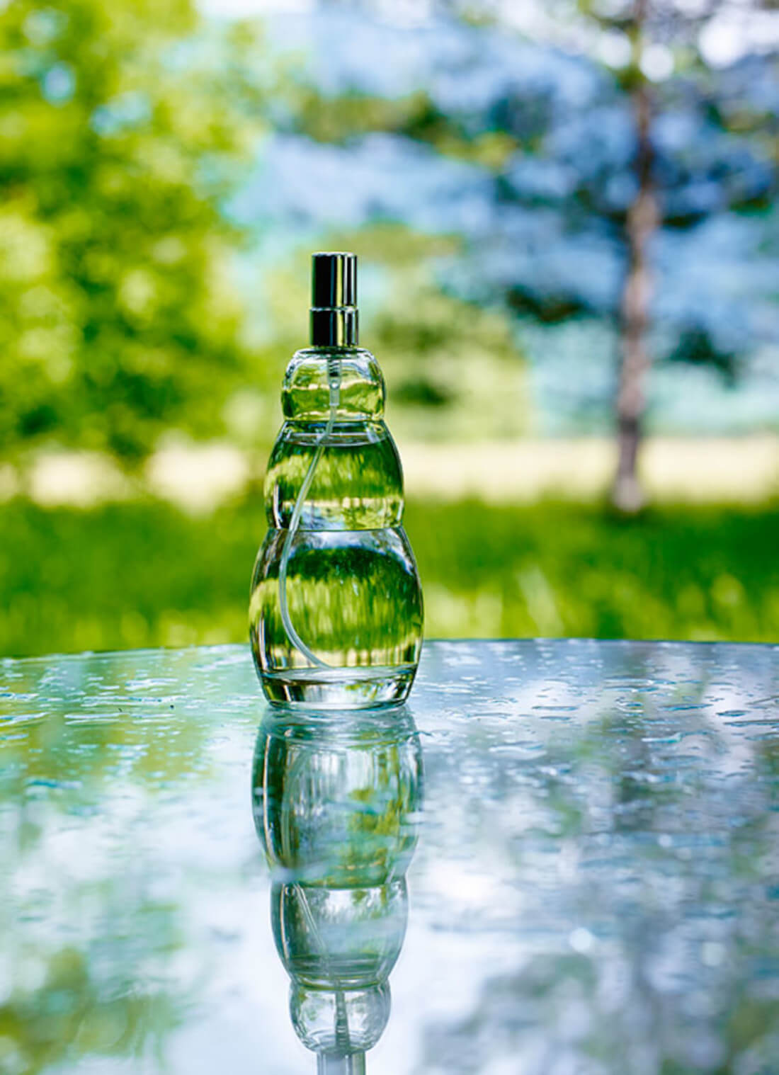 Sprayer Air-Ion 70 ml - Nature's Design